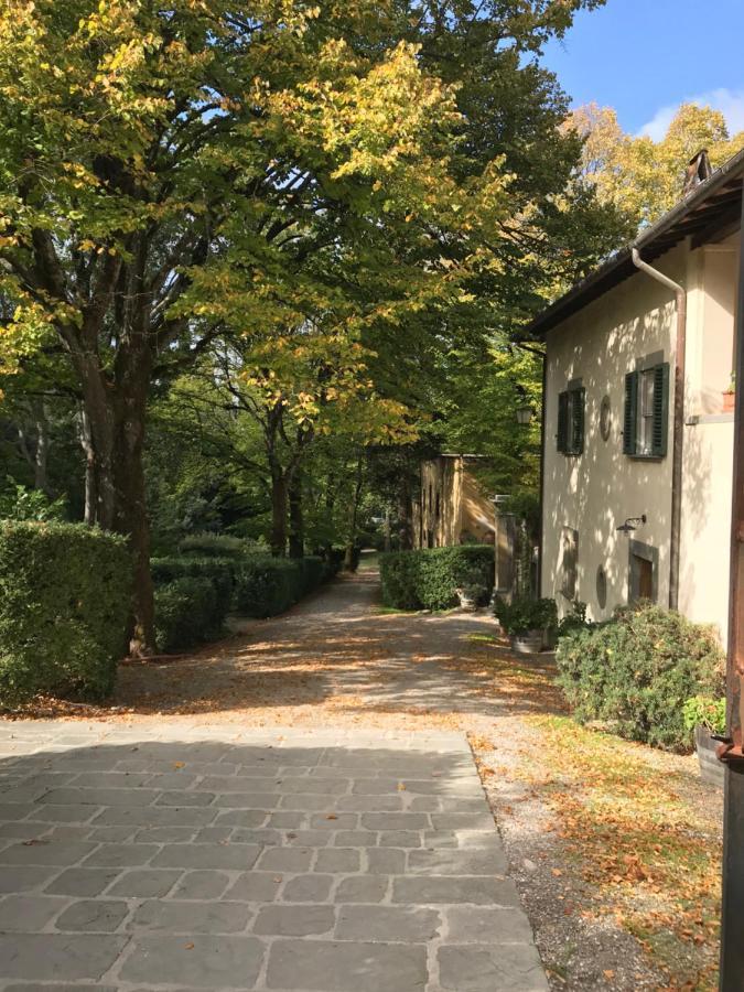 Agriturismo La Fattoria Di Capezzana Carmignano Luaran gambar